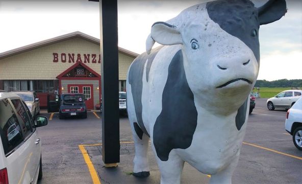 Freestanding Restaurant Building: 1121 Hickox Drive, Lincoln, IL 62656, Lincoln, IL 62656